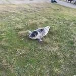 Nieuw! Modern Aan De Waddenzee *