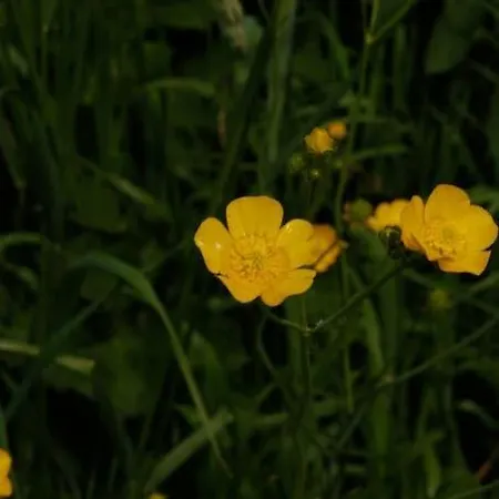 Nieuw In 2025! Modern Aan De Waddenzee Prázdninový dům Westerland