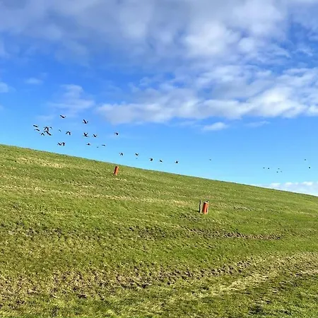 Hébergement de vacances Nieuw In 2025! Modern Aan De Waddenzee Westerland