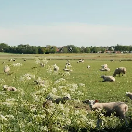 펜션 Nieuw In 2025! Modern Aan De Waddenzee Westerland
