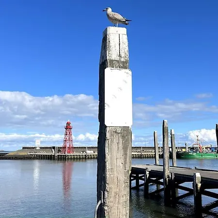 Nieuw In 2025! Modern Aan De Waddenzee 펜션