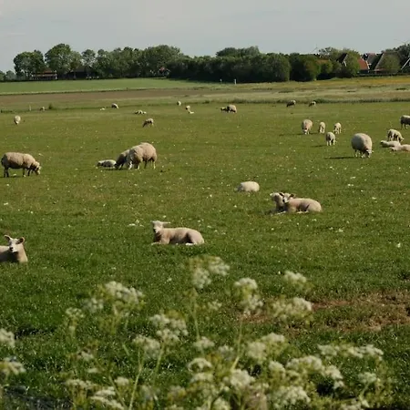 Nieuw! Modern Aan De Waddenzee 度假居