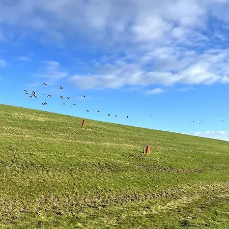펜션 Nieuw In 2025! Modern Aan De Waddenzee Westerland