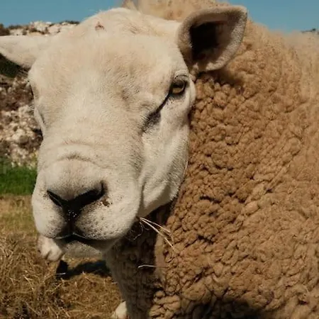 Nieuw In 2025! Modern Aan De Waddenzee *