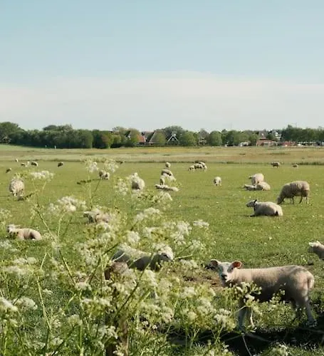 Σπίτι διακοπών Nieuw! Modern Vakantiehuis Aan De Waddenzee Westerland