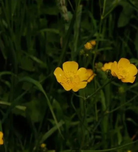 Nieuw! Modern Aan De Waddenzee 度假居 Westerland