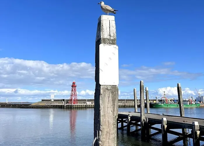Nieuw! Modern Vakantiehuis Aan De Waddenzee Σπίτι διακοπών