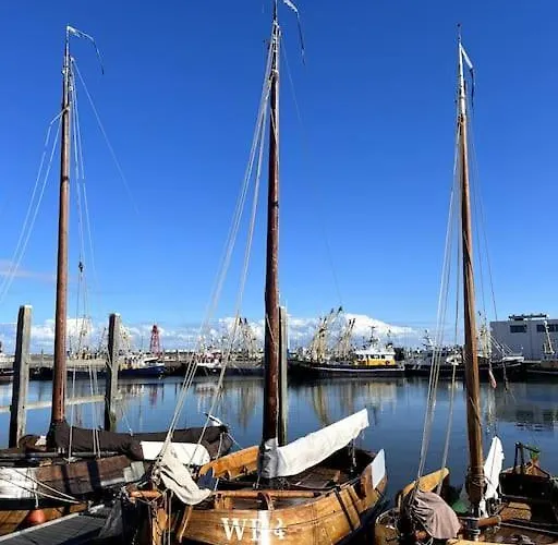 Nieuw! Modern Aan De Waddenzee *