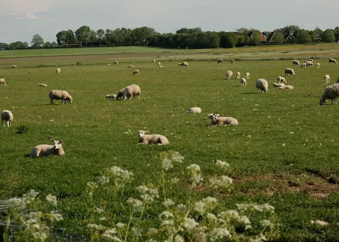 Nieuw! Modern Vakantiehuis Aan De Waddenzee Σπίτι διακοπών