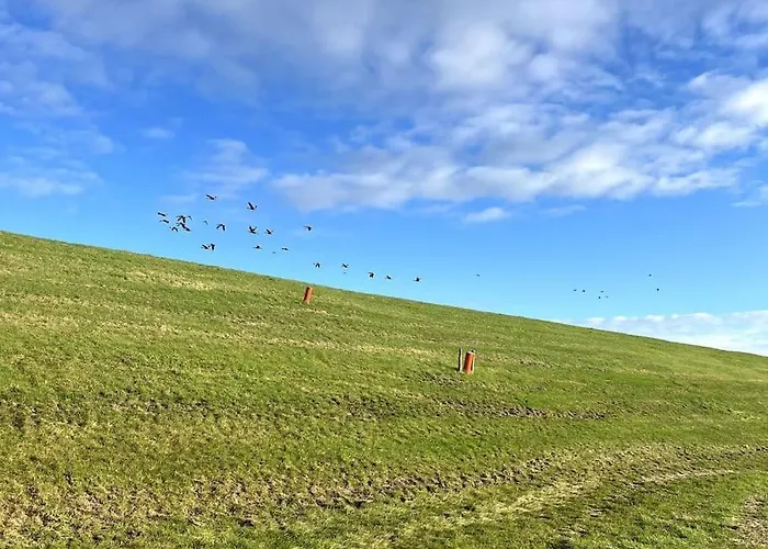 度假居 Nieuw! Modern Aan De Waddenzee Westerland