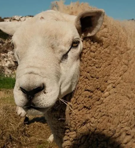 Nieuw! Modern Aan De Waddenzee *