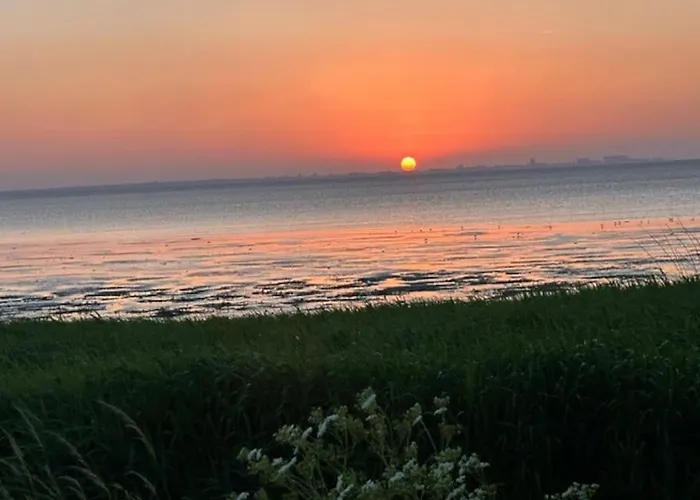Nieuw! Modern Vakantiehuis Aan De Waddenzee Σπίτι διακοπών