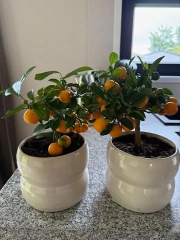 度假居 Nieuw! Modern Aan De Waddenzee *